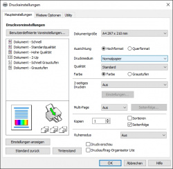 Epson: Startseite des Treibers samt Druckprofilen.