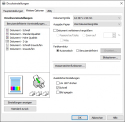 Epson: Reiter "Weitere Optionen".