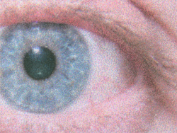 Epson Ecotank ET-4950: »Normalpapier, Sinnvolle Qualität« - Drucktempo 1:07 Minuten.