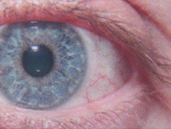 Epson Ecotank ET-4950: »Glanzpapier, Sinnvolle Qualität« - Drucktempo 1:57 Minuten.