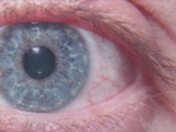 Epson Ecotank ET-4950: »Glanzpapier, Maximale Qualität« - Drucktempo 4:54 Minuten.