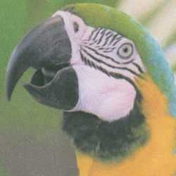 Epson Ecotank ET-4950: »Normalpapier, Sinnvolle Qualität« - Drucktempo 1:07 Minuten.