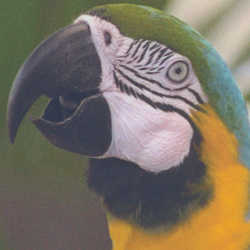 Epson Ecotank ET-4950: »Glanzpapier, Sinnvolle Qualität« - Drucktempo 1:57 Minuten.