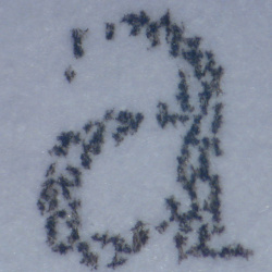 Epson Ecotank ET-4950: »Entwurfsqualität« - Drucktempo 15,0 ppm.