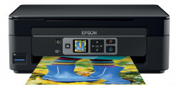 Epson Expression Home XP-352: Unterstützt den Airprint-Druck (Apple) und hat ein kleines Display.