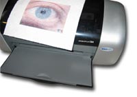 EPSON Stylus C64: Druck auf Küchenpapier