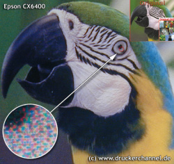 Epson CX6400: Gute Farbtreue und hohe Schärfe - kaum sichtbare Pixel.