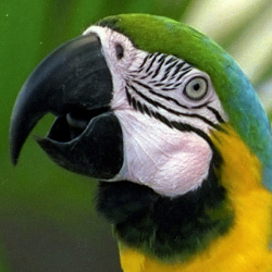 Fotodruck: Sehr gutes Ergebnis - nur die Konkurrenz aus eigenem Hause macht es noch besser.