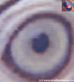 Auge des Papageis: Selbst in der starken Vergrößerung sind keine Pixel zu erkennen.