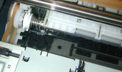 Für den Randlosdruck: Der Schwamm sorgt dafür, dass die daneben gedruckte Tinte aufgenommen wird.
