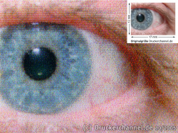 Auge: Schnellmodus (Fein) 81 Sek für A4 mit Epson R220