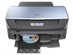 Epson Stylus Photo R265: Druckt auch auf speziell beschichtete CD- und DVD-Rohlinge.