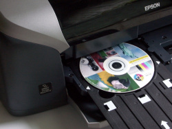 Direkt: Spezielle CD- und DVD-Rohlinge lassen sich mit dem Epson ohne Label bedrucken.