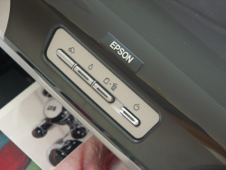 Auf Knopfdruck: Tasten für den Einzug von Rollenpapier, Druckkopfreinigung und Druckabbruch.