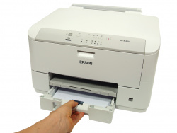 Epson Workforce Pro WP-M4015: Papierkassette.
