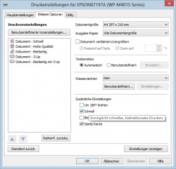 Epson: Reiter "Weitere Optionen".