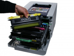 Brother HL-4040CN: Toner cartridge with developer, separated from the four imaging drums.