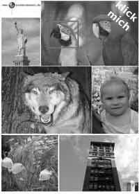 Foto klein für Laser_SW