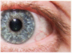 Das Auge der Testseite auf 12 x 17mm