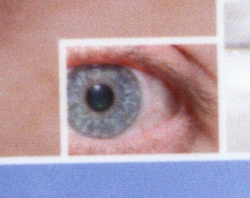 Auch im Fotodruck ist er nicht schlecht. Hier wurde das DC Testbild für DinA4 auf 10x15 ausgedruckt und das kleine Auge mit 1200dpi im Scannmodul eingescannt.