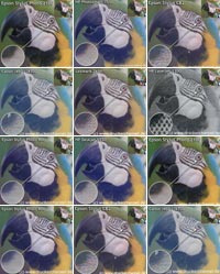 Fotovergleich aufmacher