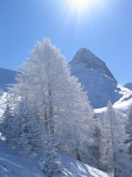 Fotowettbewerb Gewinnspiel 2007 Bild 30