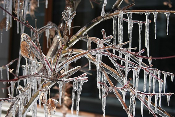 Fotowettbewerb Gewinnspiel 2007 Bild 5