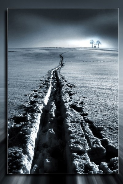 Fotowettbewerb Gewinnspiel 2007 Sieger Platz 2