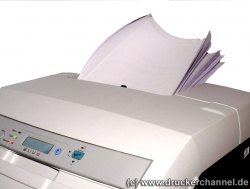 Papierablage HP CLJ 3000n und 3800n: Unordnung und frühes Leid.