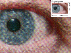 PCL 5c: Auge (siehe Bild oben, kleines Auge in Bildmitte) in rund 18facher Vergrößerung.
