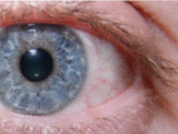 Deskjet 3070A B611: Feine Rasterung und natürliche Farben.