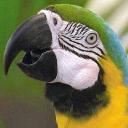 HP Deskjet 3070A B611a: Sehr gute Fotodruckqualität.