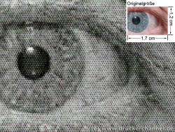 HP Laserjet 1160: Kann sich auch mit 600 dpi sehen lassen.