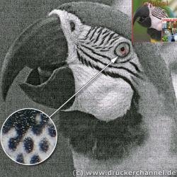 HP Laserjet 1160: Etwas gröbere Rasterung, aber immer noch gut.