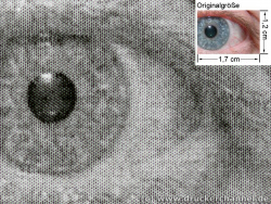 HP Laserjet 1320n: Nur ein wenig besser als der 1160.