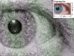 Farbdruck, PCL6-Treiber: Auge (siehe Bild oben, kleines Auge in Bildmitte) in rund 18facher Vergrößerung.