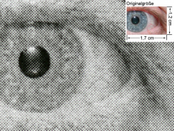 S/W-Foto, Auflösung Fastres 1200: Etwas feinere Darstellung.