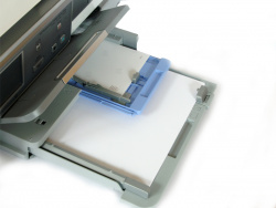 HP Photosmart C8180: Kassette für A4-Papier mit zusätzlichem Fach für Fotopapier.