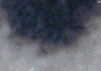 HP Photosmart Pro B9180 Qualität Graudruck Grautinte