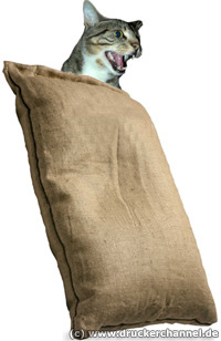 Katze im Sack