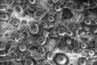 Know-How Epson Bleeding Mikroskop Normalpapier ungestrichen