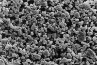 Know-How Epson Bleeding Mikroskop Normalpapier ungestrichen