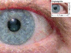1600W: Auge (siehe Bild oben, kleines Auge in Bildmitte) in rund 18facher Vergrößerung.