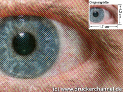 Konica Minolta Magicolor 2400W: Auge (siehe Bild oben, kleines Auge in Bildmitte) in rund 18facher Vergrößerung.