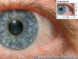 Konica Minolta Magicolor 2430DL: Auge (siehe Bild oben, kleines Auge in Bildmitte) in rund 18facher Vergrößerung.