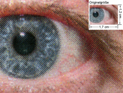 2530DL: Auge (siehe Bild oben, kleines Auge in Bildmitte) in rund 18facher Vergrößerung.