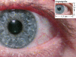 PCL6-Treiber, hohe Kantenfestigkeit: Auge (siehe Bild oben, kleines Auge in Bildmitte) in rund 18facher Vergrößerung.