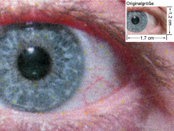 PS-Treiber, niedrige Kantenfestigkeit: Auge (siehe Bild oben, kleines Auge in Bildmitte) in rund 18facher Vergrößerung.