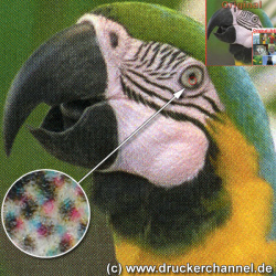 Fotodruck: Kaum noch Rasterung sichtbar, kräftige Farben und hohes Drucktempo.