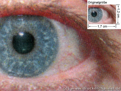 5450: Auge (siehe Bild oben, kleines Auge in Bildmitte) in rund 18facher Vergrößerung.